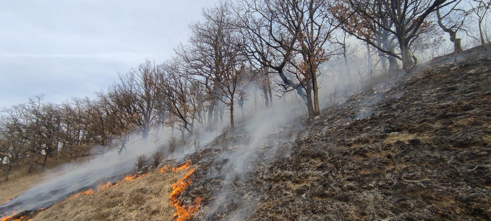 Peste 230 de hectare de teren afectate în ultimele 24 de ore de incendiile de vegetație