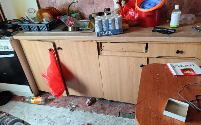 Proprietara apartamentului din care Animal Life a salvat pisicile abandonate și lăsate de chiriași fără hrană și apă: Am rămas cu chiria neplătită și facturi de aproximativ 4.000 de lei
