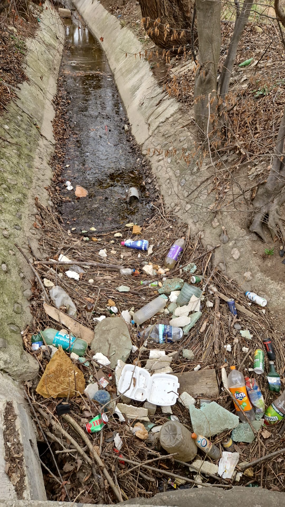 Acțiune de ecologizare pe Valea Săpunului. Oricine vrea să dea o mână de ajutor este binevenit
