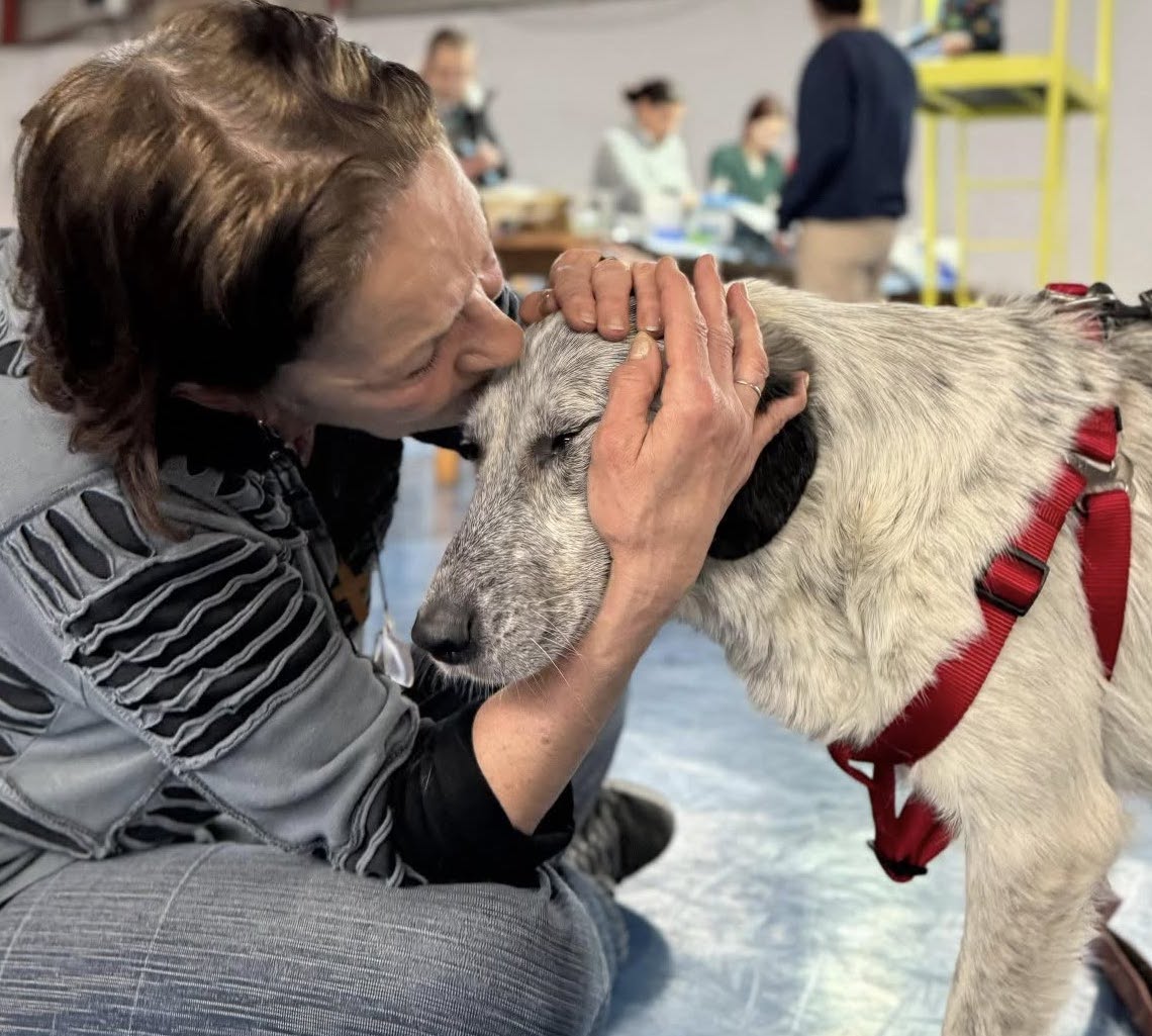 Ziua Porților Deschise la Animal Life, în acest weekend. „O ocazie minunată să cunoști prietenii noștri blănoși și să afli poveștile lor”