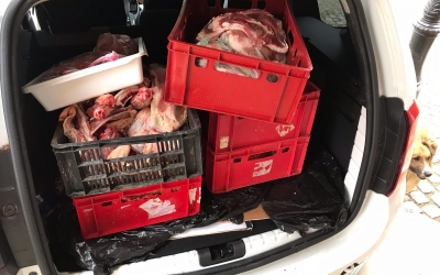 Aproape 300 de controale au făcut DSP și DSVSA Sibiu, în perioada sărbătorilor pascale: sancțiuni de peste 130.000 lei