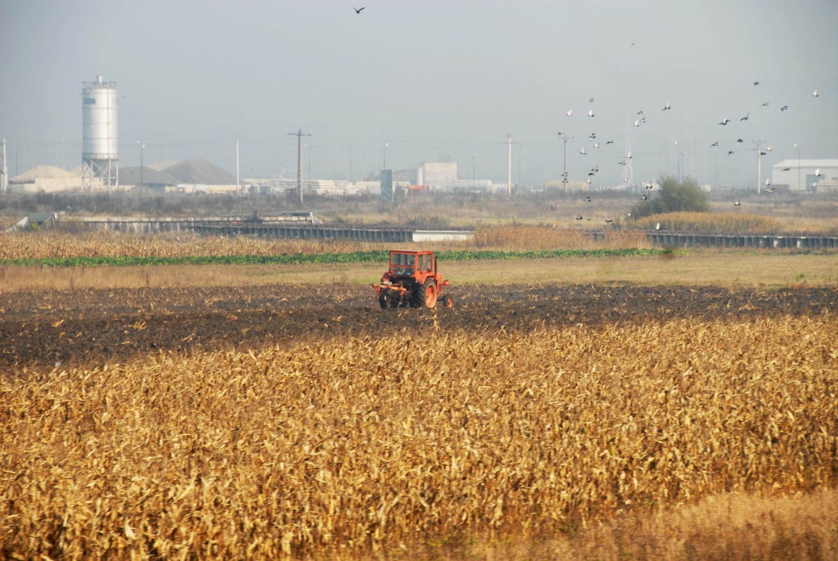 Statul a concesionat peste 3.000 de hectare de teren agricol în județul Sibiu, în 2025. Cele mai mari oportunități de investiții, în viticultură