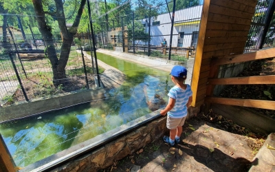 ”Mă gândesc la ea SRL” face curat la ZOO. Contracte de 118 mii de lei până în luna mai pentru curățenia la Zoo. Firma a avut în 2023 o cifră de afaceri de 3.450 de lei