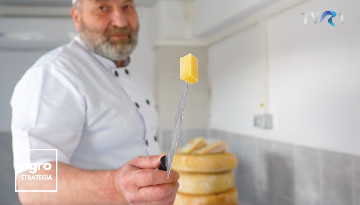„Brânza asta e aur”. Povestea unui producător de brânzeturi maturate care a învățat meșteșugul în Italia și îl reinventează la Hoghilag