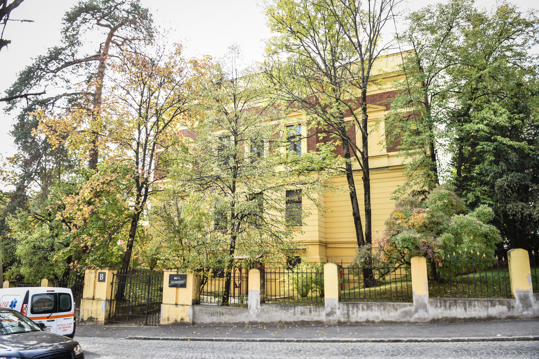 Muzeul Național Brukenthal participă la Noaptea Muzeelor. Intrare gratuită la Muzeul de Istorie Naturală