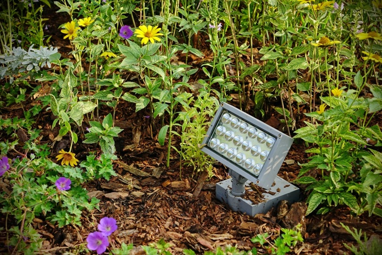 Top 3 proiectoare LED pentru iluminarea eficientă a curții tale