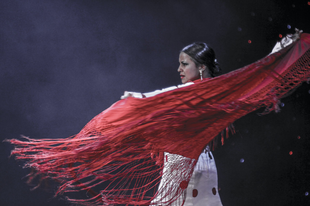 FITS 2025: Flamenco, Rimini-Protokoll și Vița de Vie în Piața Mare - recomandările din cea de-a doua zi a festivalului