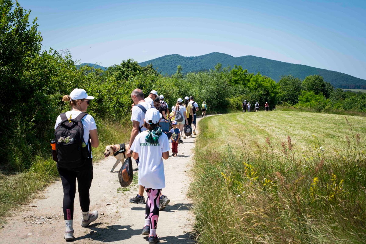 O companie germană din Brașov a adoptat un traseu turistic din zona Rășinari: acțiune de ecologizare cu 360 litri de deșeuri colectate