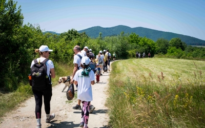 O companie germană din Brașov a adoptat un traseu turistic din zona Rășinari: acțiune de ecologizare cu 360 litri de deșeuri colectate