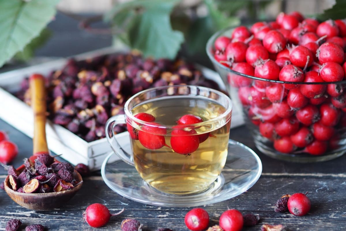 7 beneficii ale păducelului