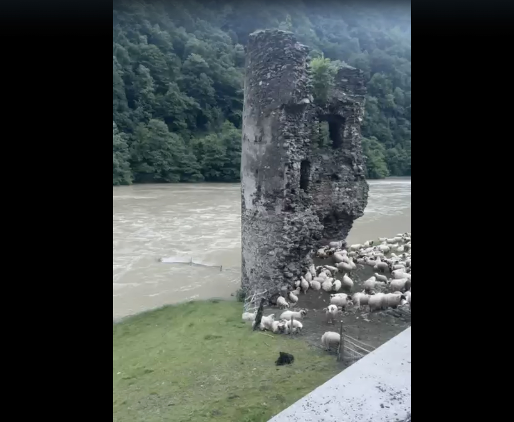 Turnul Spart de la Boița, monument istoric de importanță națională, a devenit o stână: „Amenda este de până la 10.000 de lei”