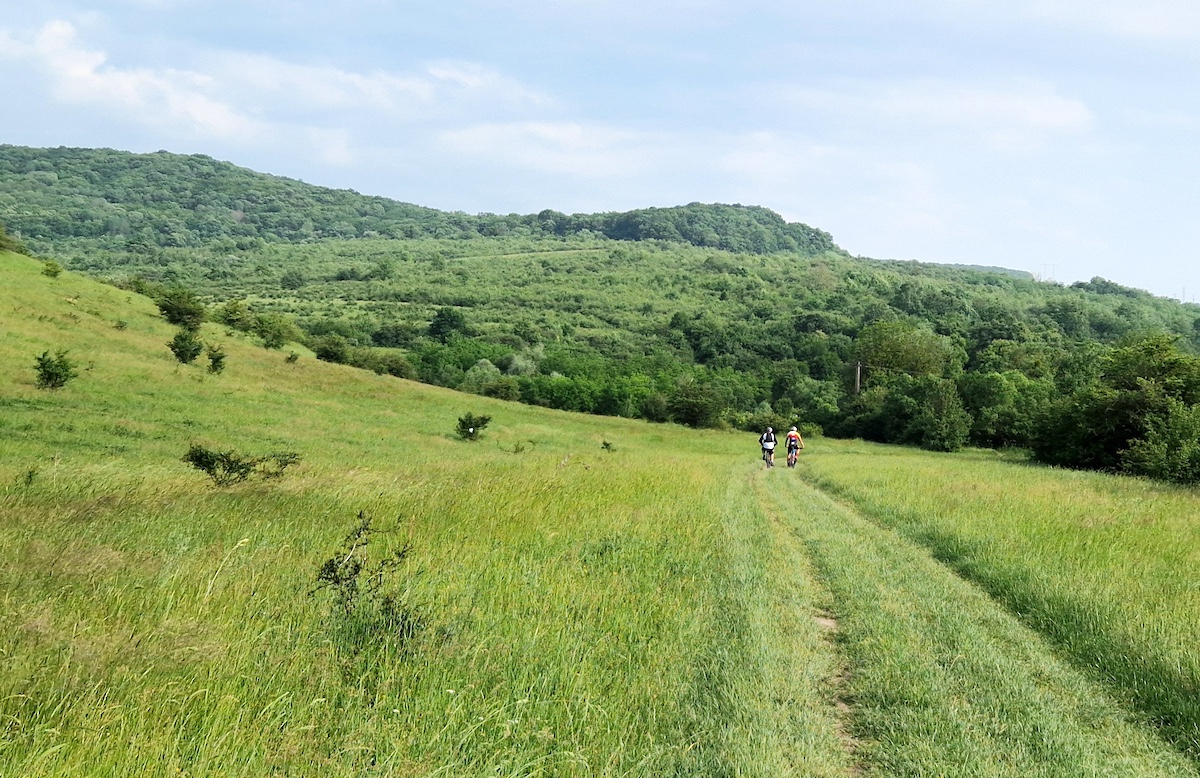 Proiect în premieră la Sibiu: tabără de corturi glamping și parc de rulote, pe dealurile Gușteriței. „Dorim să deschidem această zonă pentru un turism ecologic”