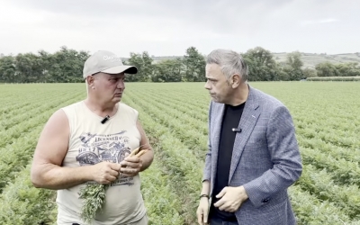 Ferma de morcovi de lângă Sibiu, care l-a impresionat pe ministrul Agriculturii: Se face o producție foarte bună dacă te ocupi și pui suflet