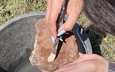 VIDEO Sat din Epoca Bronzului, descoperit la Tigveni, în zona viitoarei autostrăzi Sibiu – Pitești. Au fost dezvelite râșnițe, fragmente de chirpici și vase ceramice