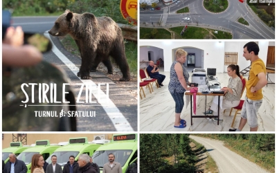 Știrile zilei: urși omorâți cu insecticide interzise, sibieni puși să plătească impozite pe terenurile expropriate de ani buni, 17 directori de școli și grădinițe își pierd postul