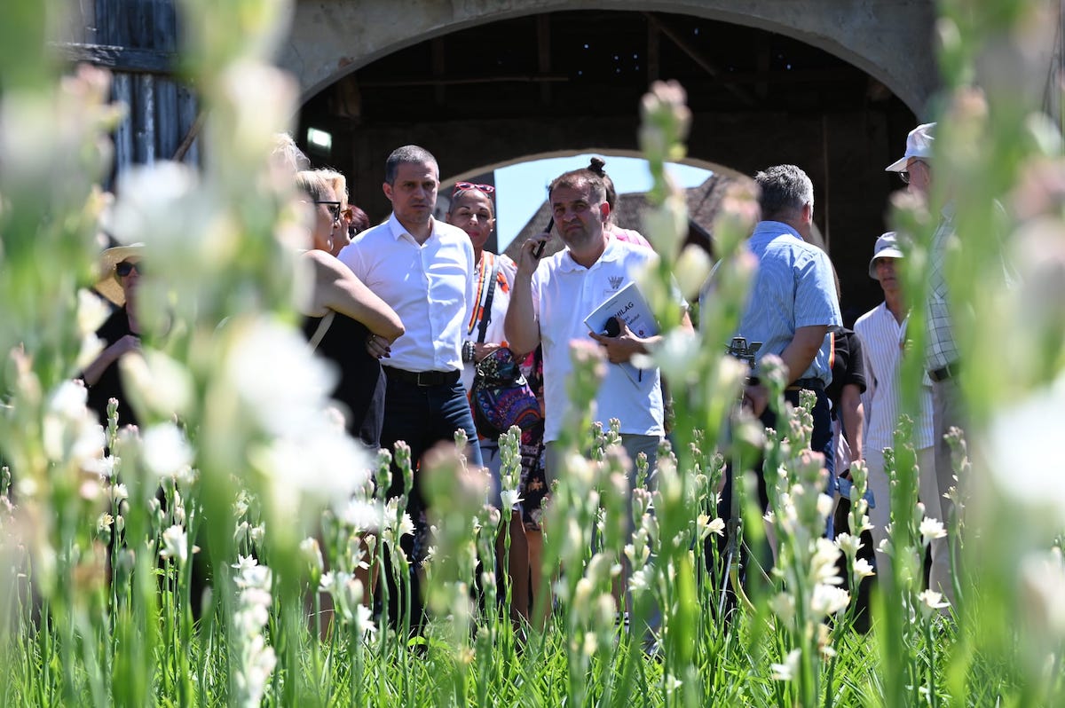 PSD Sibiu: Hoghilag – parfum de tuberoze și ecoul istoriei din Biserica Evanghelică Fortificată