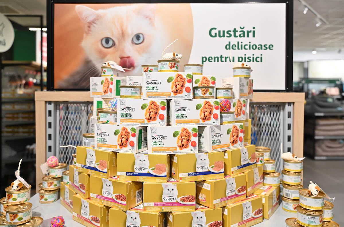 Shopping City Sibiu transformă grija pentru animale într-o experiență de festival la PET FEST