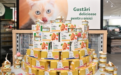 Shopping City Sibiu transformă grija pentru animale într-o experiență de festival la PET FEST