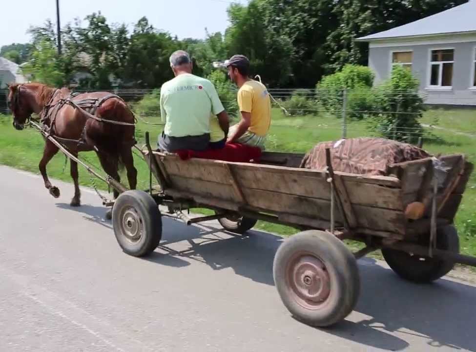 Căruțele fără dispozitive pentru colectarea dejecțiilor vor fi interzise pe drumurile publice din Copșa Mică