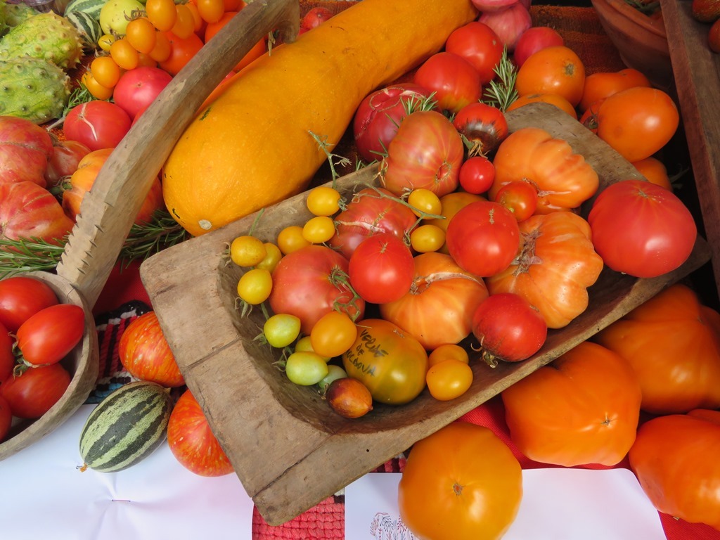 Festivalul tomatelor și al biodiversității, sâmbătă, în Muzeul Astra.  Vizitatorii pot cumpăra legume, fructe, plante și produse tradiționale și naturale