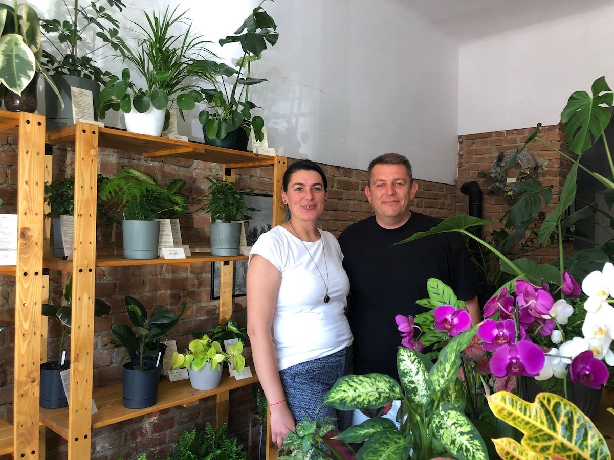 După ce au lucrat în HoReCa și vânzări, doi sibieni au investit 7.000 de euro într-o afacere cu plante: Ne aduc bucurie, armonie și liniște