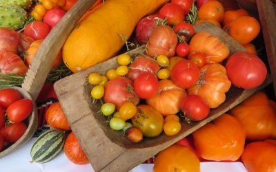 Festivalul tomatelor și al biodiversității, sâmbătă, în Muzeul Astra.  Vizitatorii pot cumpăra legume, fructe, plante și produse tradiționale și naturale
