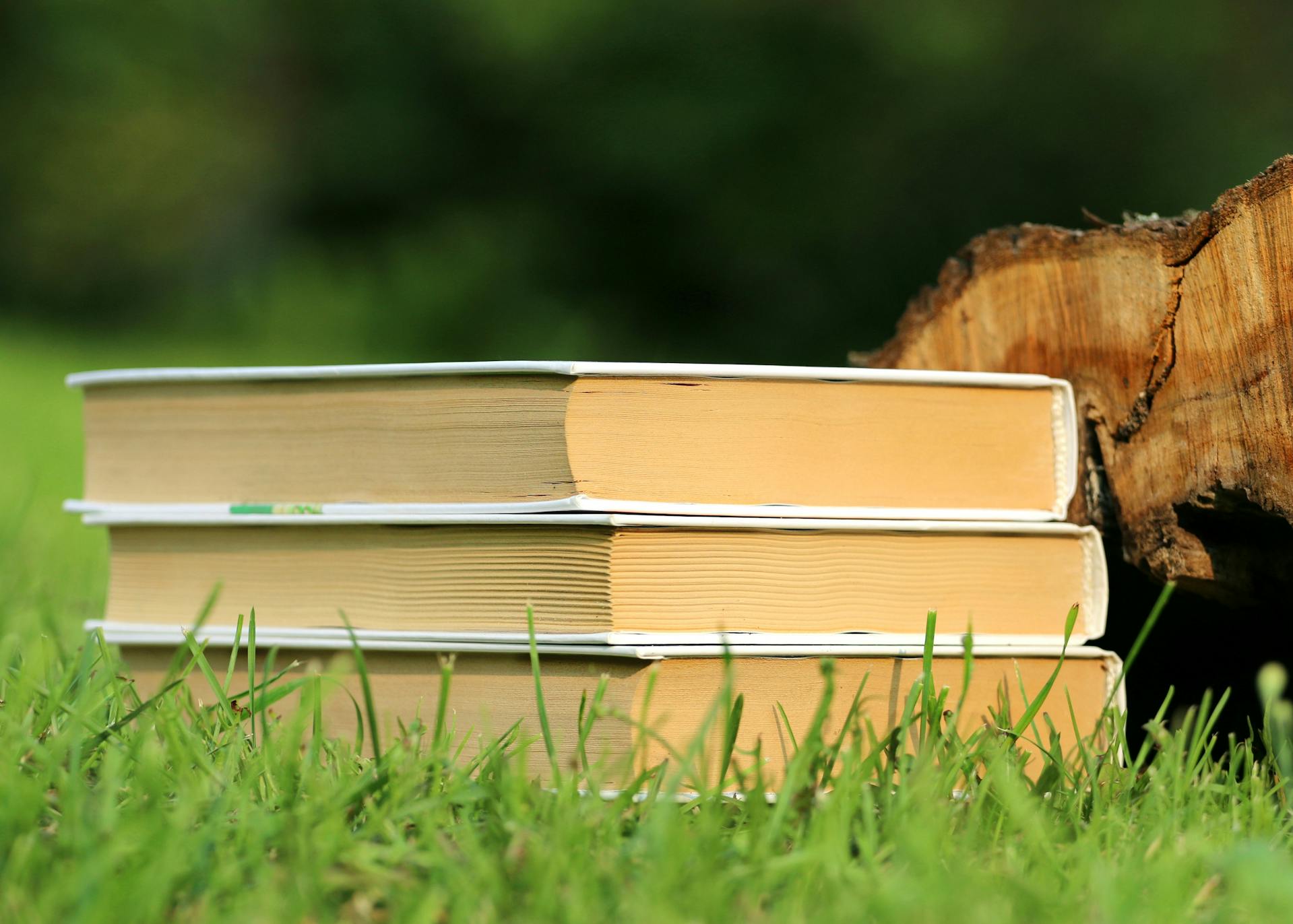 Cărțile din biblioteca ta pot avea mai multă valoare decât crezi