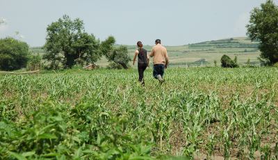 Studiu al unui inginer agronom sibian. Cum schimbi județul care nu are un sistem de hrănire a locuitorilor în situații de criză: de la ferme modulare, la digitalizare. „Avem potențial enorm”
