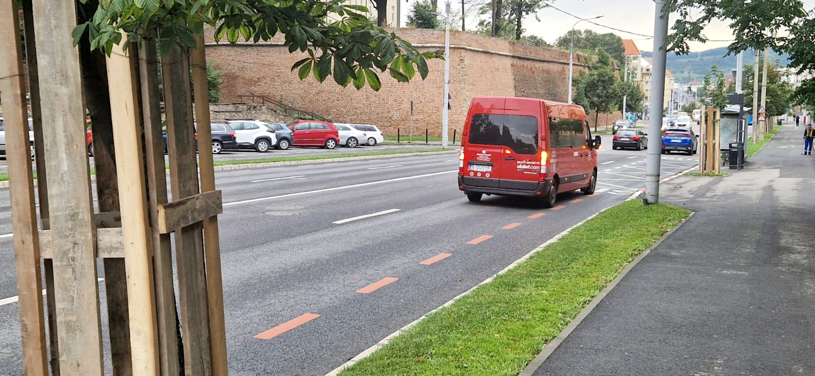 Copacidin Sibiu protejati
