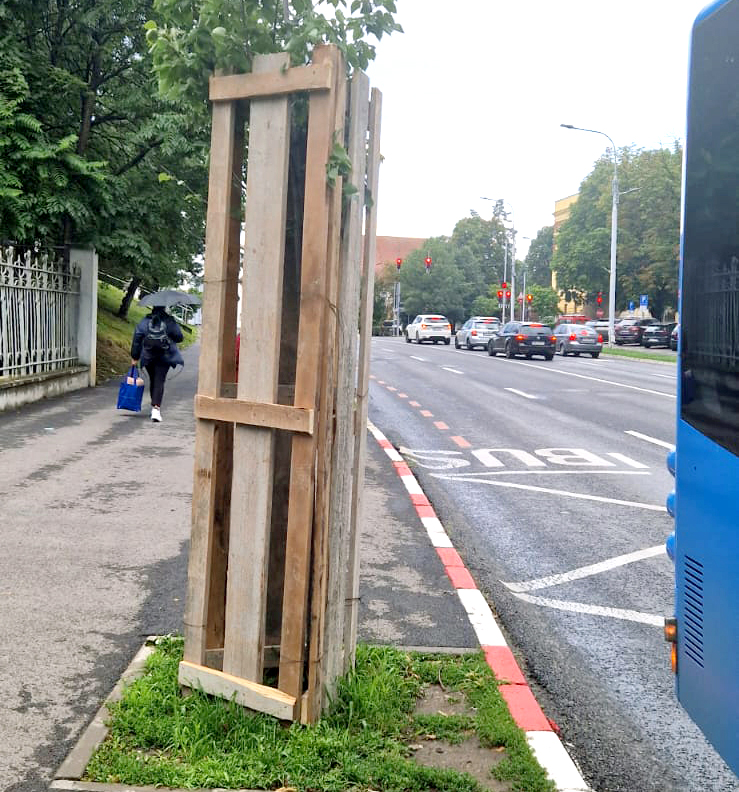 Copacii de pe Coposu, în țarcuri înalte din lemn. Primăria obligă constructorul să-i protejeze, în caz contrar amenzile ajung la 2.500 de lei