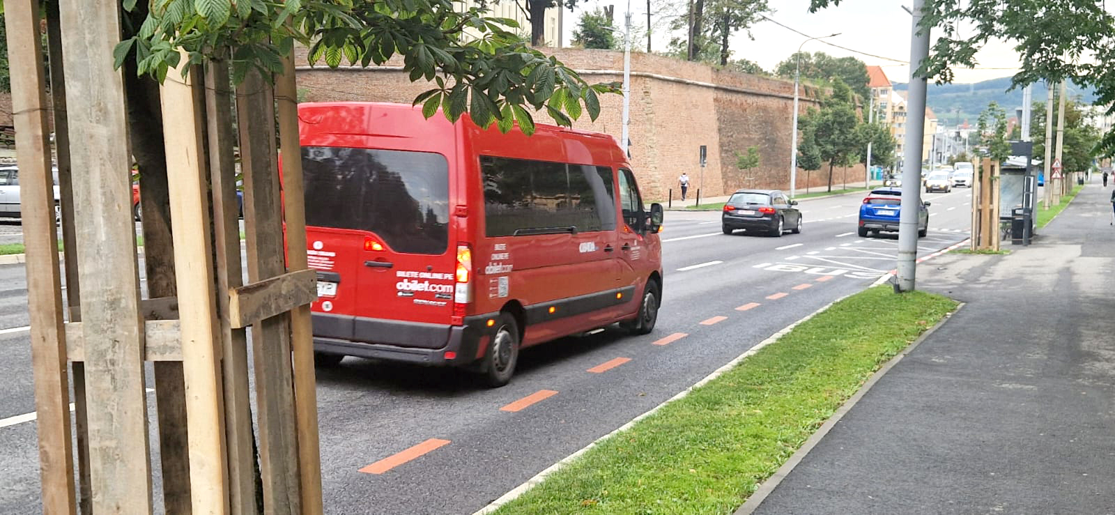Copacidin Sibiu protejati