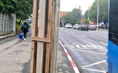 Copacii de pe Coposu, în țarcuri înalte din lemn. Primăria obligă constructorul să-i protejeze, în caz contrar amenzile ajung la 2.500 de lei
