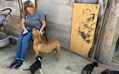 Începe programul veterinar „Gușterița de treabă”: „Vrem să oferim oamenilor nu numai medicina veterinară pe care nu și-ar permite-o vreodată, ci și respectul pe care nu-l găsesc ca cetățeni marginalizați ai Sibiului”