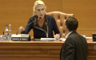 „AUR, SOS și POT sunt partide cu discurs extremist, bazat pe ură”. Raluca Turcan spune că instituțiile statului trebuie să decidă dacă acestea pot fi scoase în afara legii