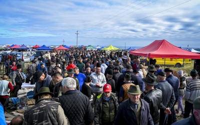PSD Sibiu: Poiana Sibiului: Tradiția a Prins Viață în Inima României