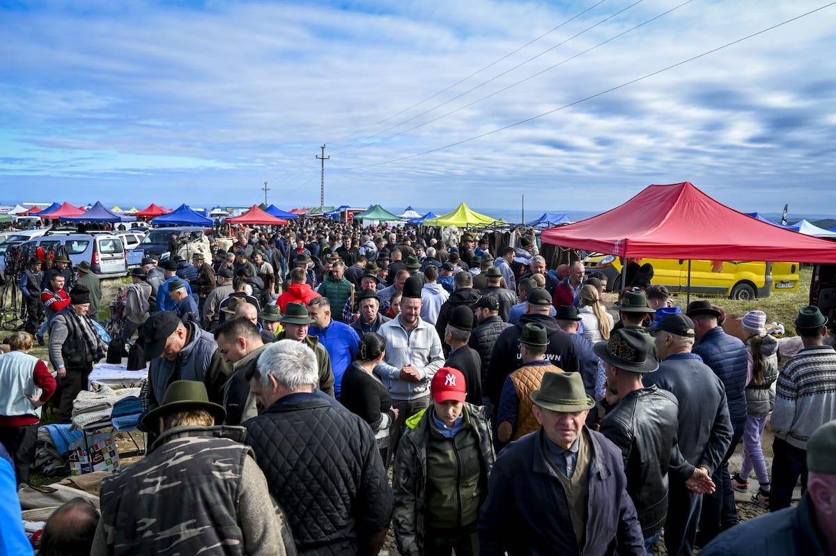 PSD Sibiu: Poiana Sibiului: Tradiția a Prins Viață în Inima României