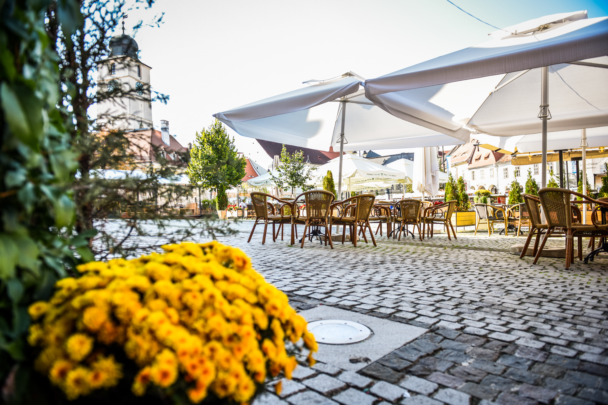 Vreme caldă pentru final de septembrie: 27 de grade Celsius în județ