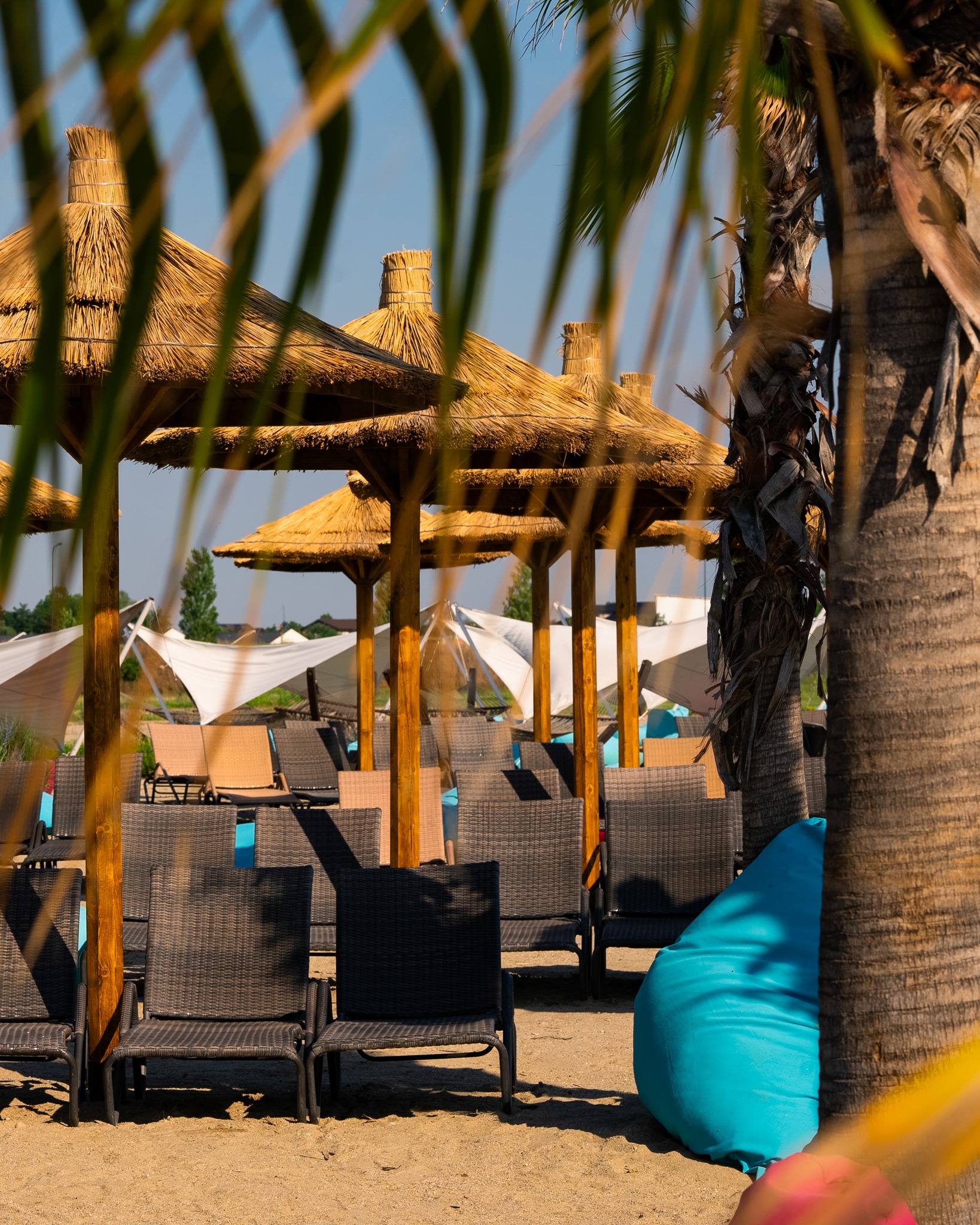 Profit în creștere cu peste 2.700% pentru o firmă din grupul Therme București. Topul celor mai profitabile companii din Sibiu