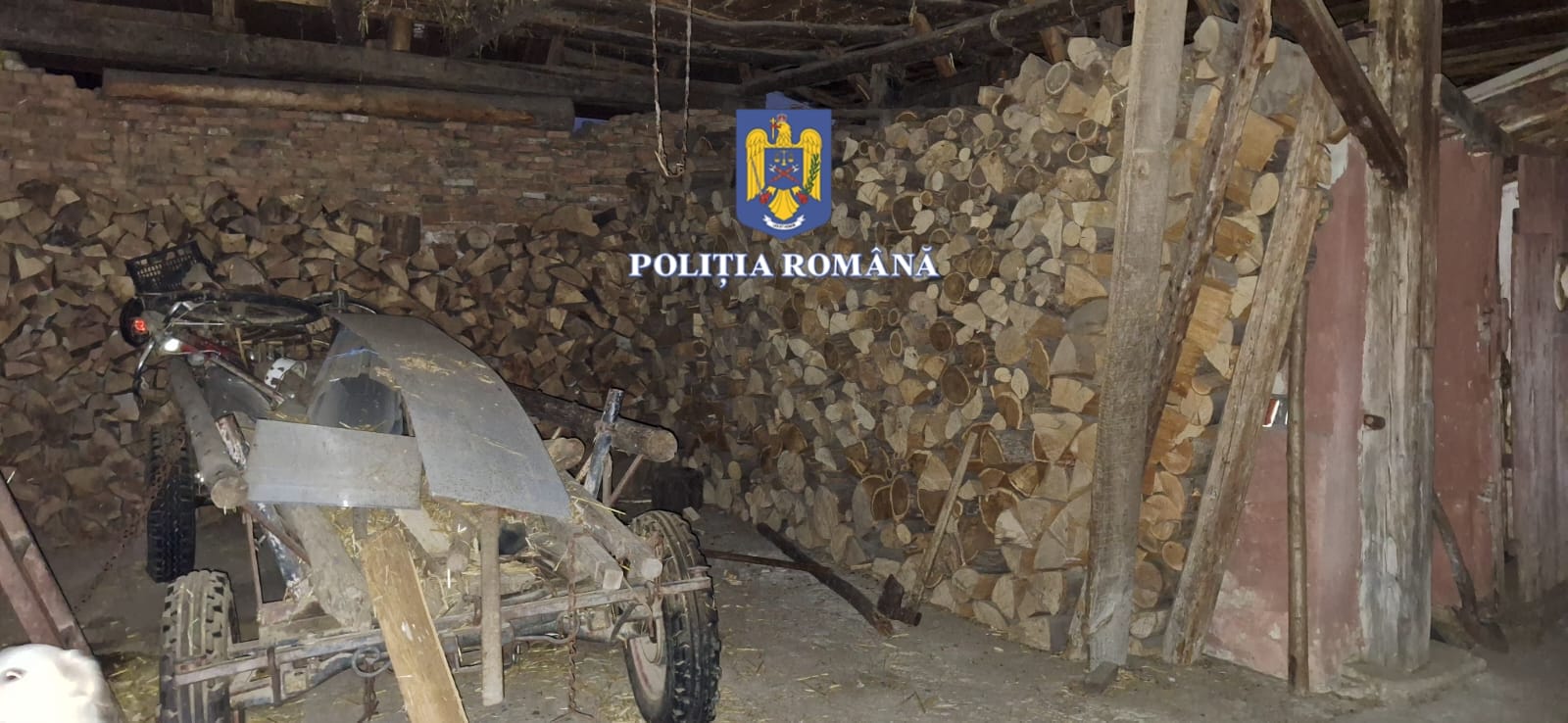 Opt persoane au fost reținute după cele 41 de percheziții în nordul județului, într-un dosar de luare/dare de mită și furt de lemne