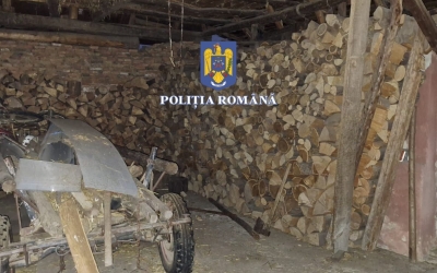 Opt persoane au fost reținute după cele 41 de percheziții în nordul județului, într-un dosar de luare/dare de mită și furt de lemne
