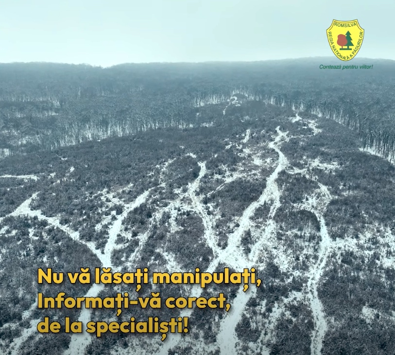 Silvicultorii sibieni au mers cu drona pe urmele acuzațiilor Agent Green. Directorul Ilie Troancă: „Lucrările parcurse au fost legitime”