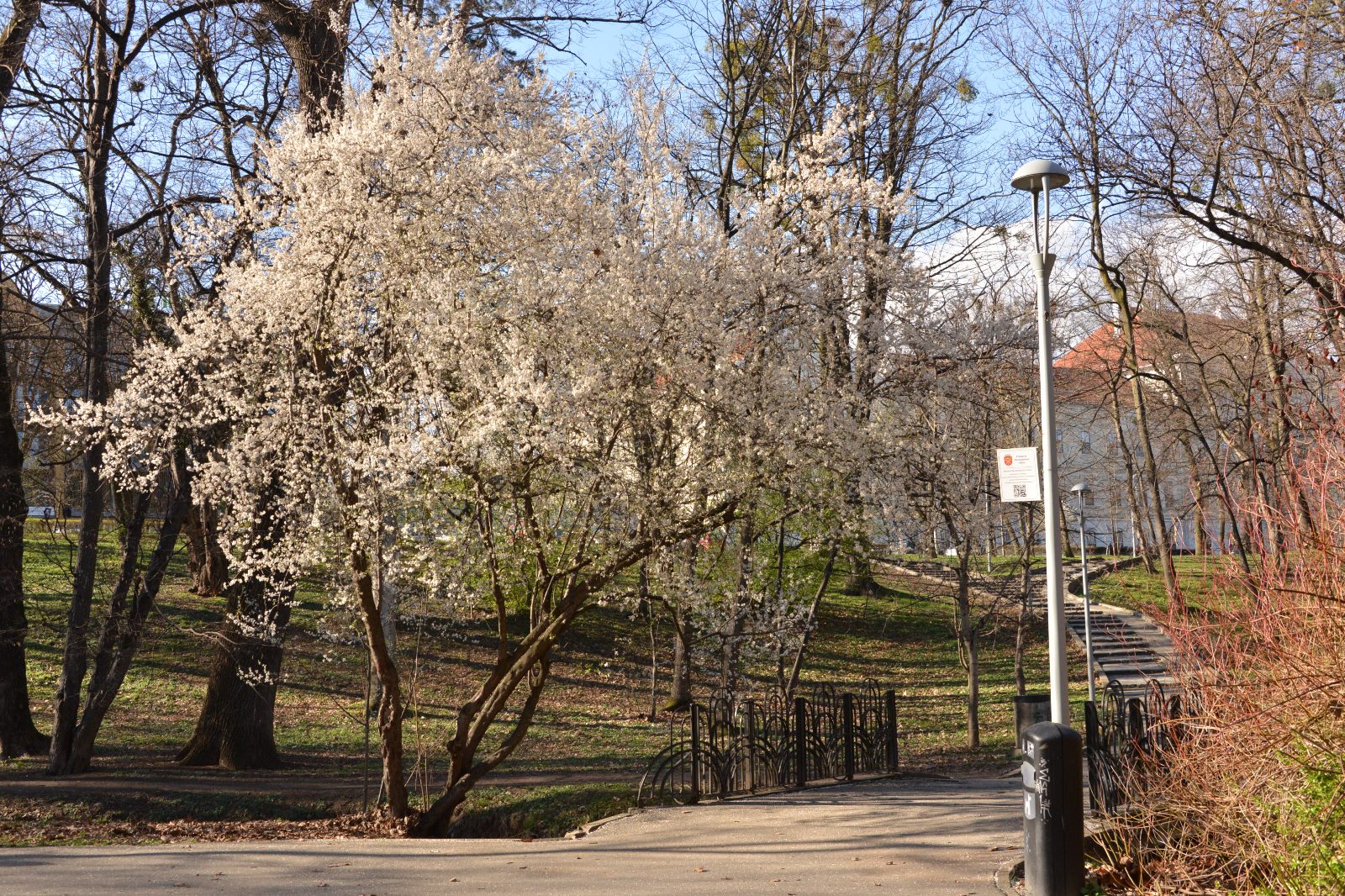 Un bărbat acuzat că se masturba în public, în Parcul Sub Arini, a fost trimis în judecată. „A trezit stări de indignare a publicului”