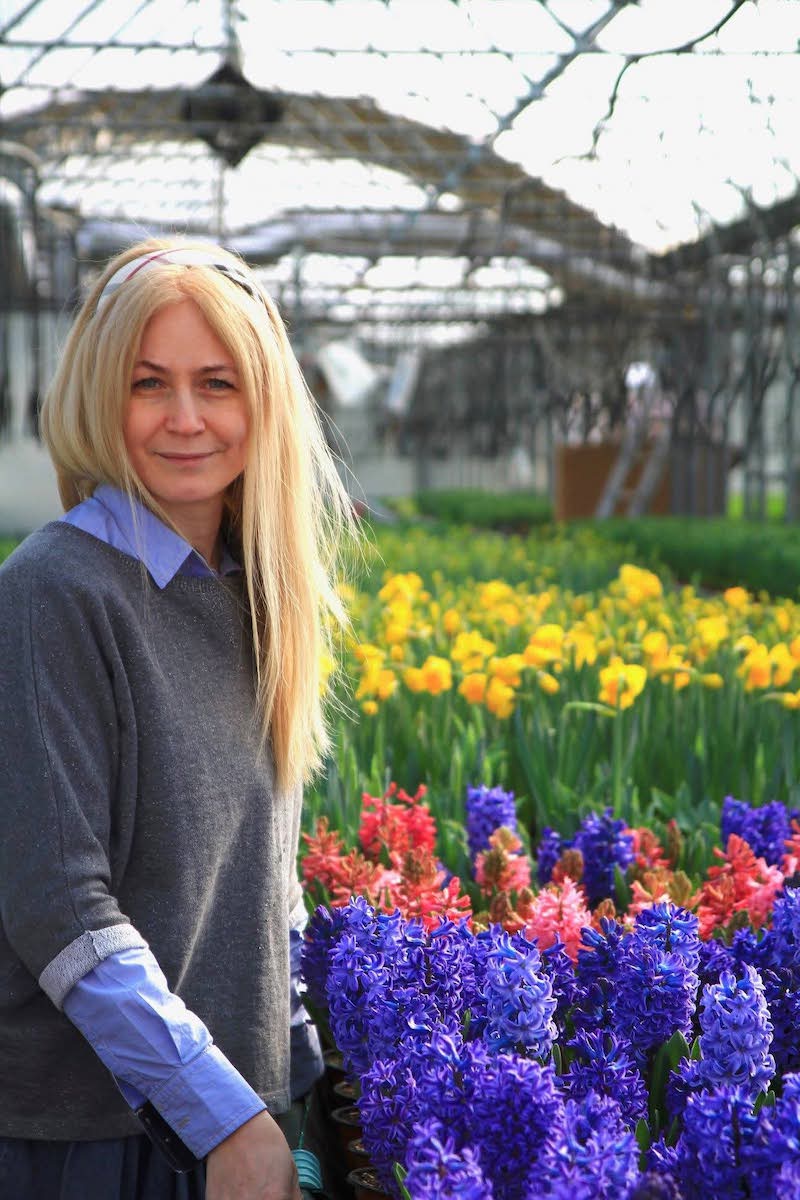 Update de succes la Poplaca: Cum a transformat rigoarea corporatistă brandul „Pepiniera Sibiu - Camelia” într-o afacere de 2 milioane de euro