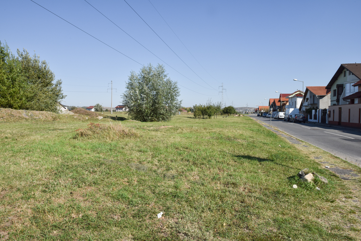 Primăria a ales prin tragere la sorți patru tineri care primesc terenuri gratuite pentru construirea unei locuințe. În maxim un an trebuie să înceapă construcția