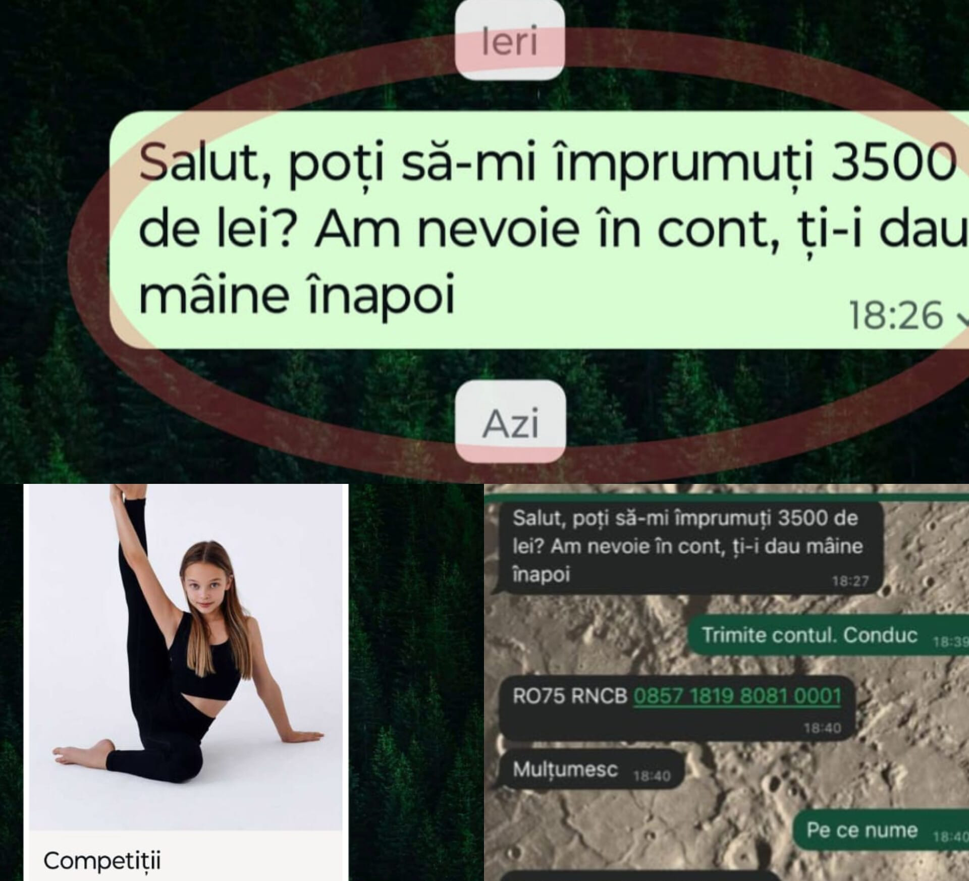 Principalele metode  de înșelăciune online. Poliția Sibiu: autorii devin tot mai ingenioși