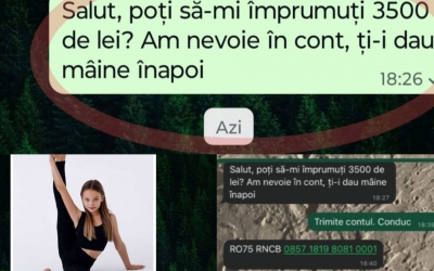 Principalele metode  de înșelăciune online. Poliția Sibiu: autorii devin tot mai ingenioși