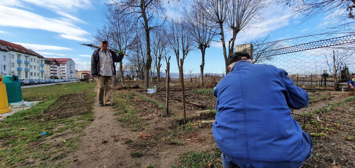 Au sibienii loc și nevoie de grădini comunitare de zarzavaturi? Peisagist: „În alte țări este o tradiție”. Fodor: „Propunerea e frumoasă, dar să vedem cum cineva chiar se ocupă”