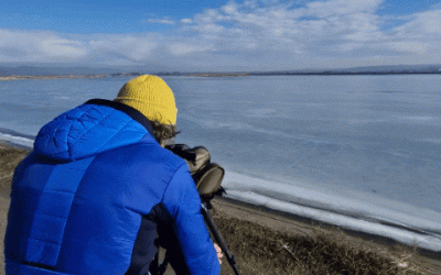 Privitul la păsări: pasiunea pentru care Sibiul are locurile potrivite, dar tot străinii „vin să ni le vadă”