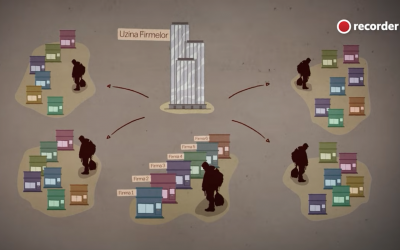 Investigație Recorder: O firmă din Mediaș ajută patronii cu datorii de milioane la ANAF să scape de ele