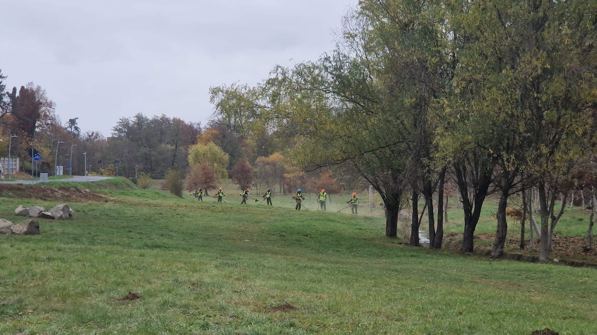 10 milioane de lei: Primăria a scos la licitație întreținerea parcurilor și spațiilor verzi din Sibiu. Administrația calculează peste 200 de hectare de parcuri și zone verzi